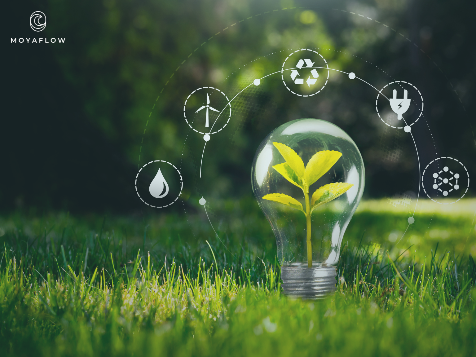 Nachhaltigkeit im Krankenhaus